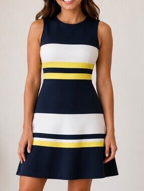 Sleeveless Navy Blue Stripe Fit & Flare Dress - Yellow & White Accents